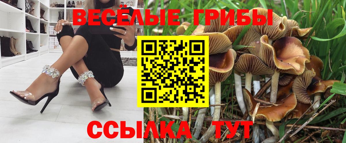 Псилоцибиновые грибы мицелий  Вход с VPN  Екатеринбург 