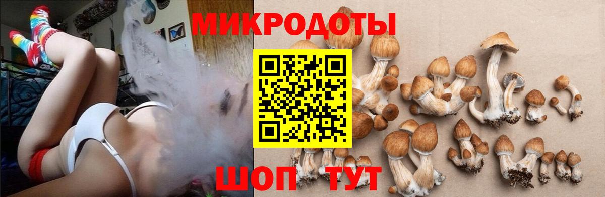 Псилоцибиновые грибы Psilocybine cubensis Екатеринбург